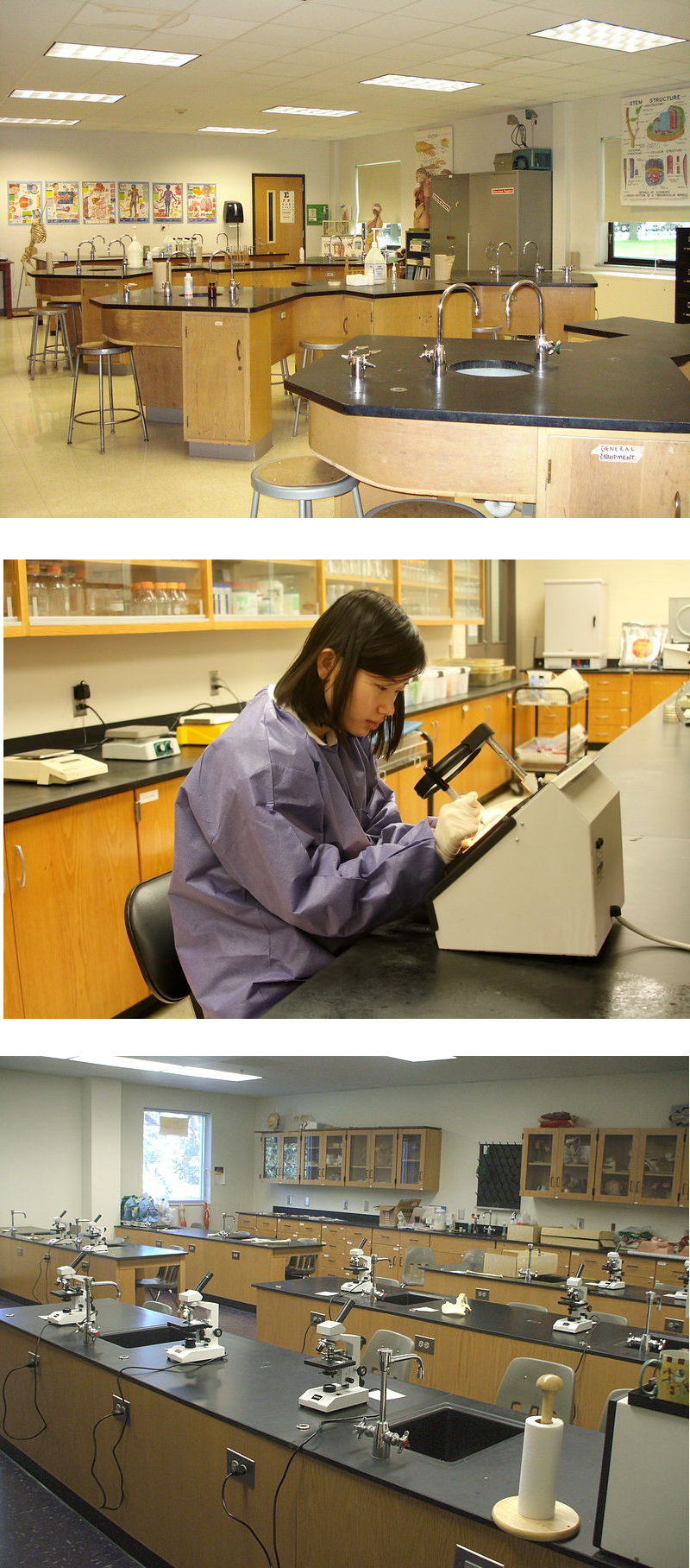 Certificaciones para Muebles para Laboratorio Certificaciones para Muebles para Laboratorio